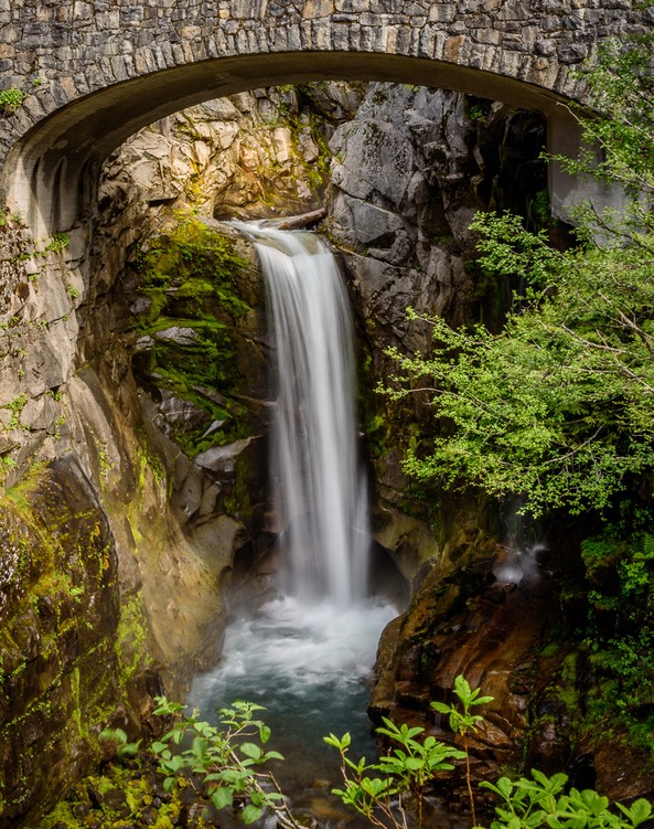 2015-05-29-Mount Rainier-012